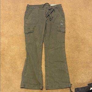 American Eagle Outfitters Olive Cargo Pants